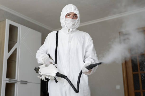 Best Emergency Mold Remediation  in Anna, OH